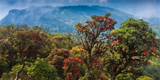 Bhutan weather forecast