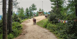 Bhutan weather forecast