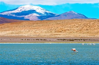 Bolivia weather forecast