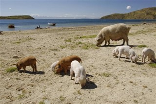 Bolivia weather forecast