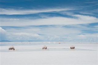 Bolivia weather forecast