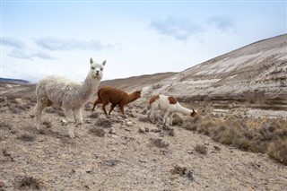 Bolivia weather forecast