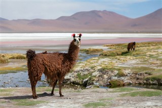 Bolivia weather forecast