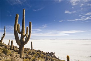 Bolivia weather forecast