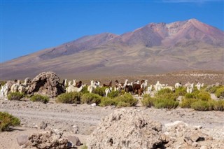 Bolivia weather forecast