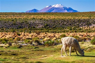 Bolivia weather forecast