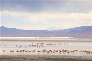 Bolivia weather forecast