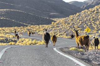 Bolivia weather forecast