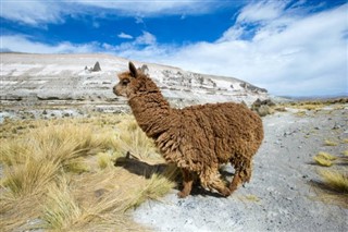 Bolivia weather forecast