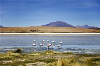 Bolivia weather forecast