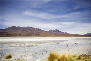 Bolivia weather forecast