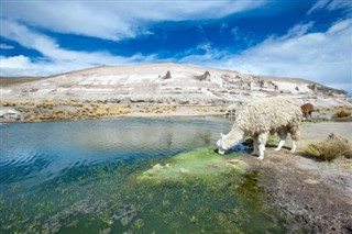 Bolivia weather forecast