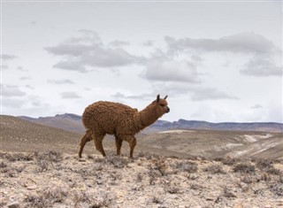 Bolivia sääennuste