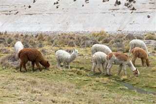 Bolivija vremenska prognoza