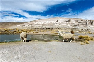 Bolivia weather forecast