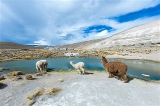 Bolivia weather forecast