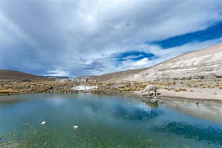 Bolivia weather forecast