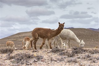 Bolivia sääennuste