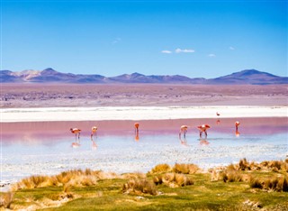 Bolivia pronóstico del tiempo