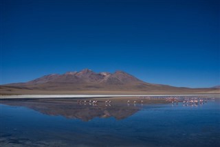 Bolivia weather forecast