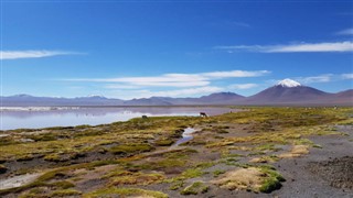 Bolivia weather forecast