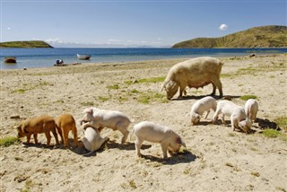 Bolivia weather forecast