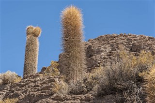 Bolivia sääennuste