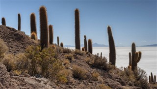 Bolivia weather forecast