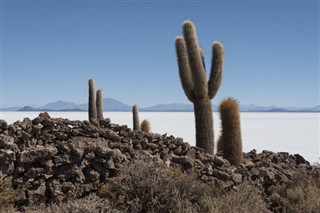 Bolivia weather forecast