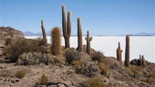 Bolivia weather forecast