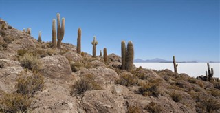 Bolivia weather forecast