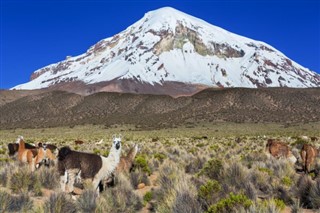 Bolivia weather forecast