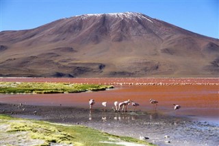 Bolivia weather forecast