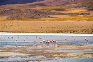 Bolivia weather forecast