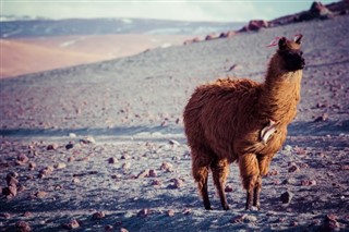 Bolivia sääennuste