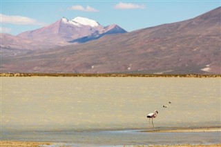 Bolivia weather forecast