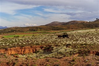 Bolivia weather forecast