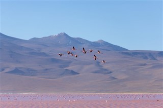 Bolivia weather forecast