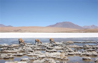 Bolivia weather forecast