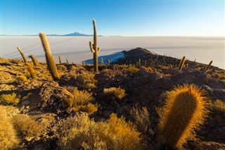 Bolivia weather forecast