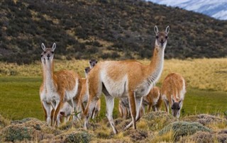 Bolivia weather forecast