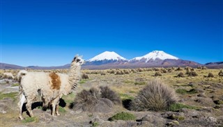 Bolivia weather forecast