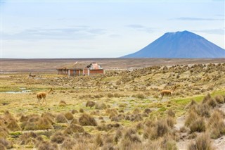 Bolivia weather forecast