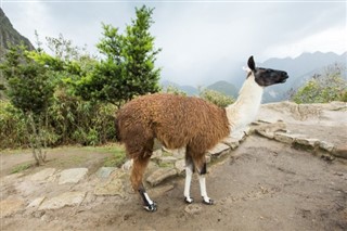 Bolivia weather forecast