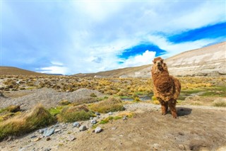 Bolivia weather forecast