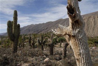 Bolivia sääennuste