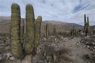 Bolivia weather forecast