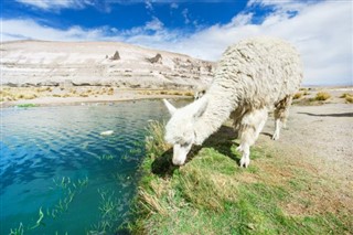 Bolivia weather forecast