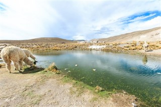 Bolivia weather forecast