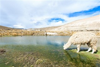 Bolivia weather forecast